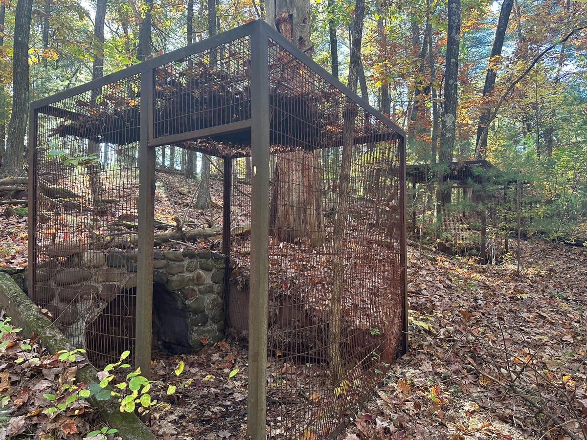 Shade Swamp Sanctuary (Farmington, CT)