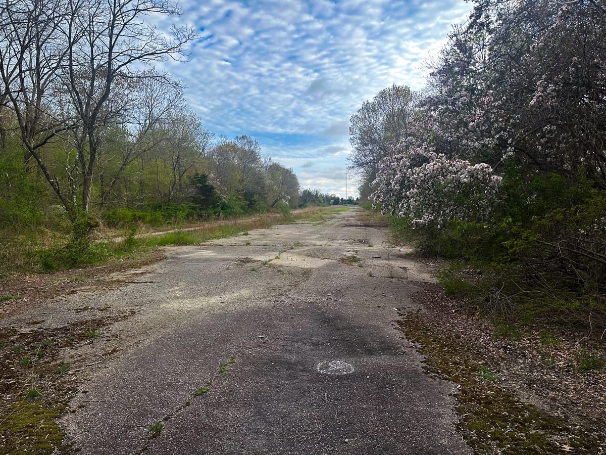 Abandoned Southwest Expressway (Canton, MA)